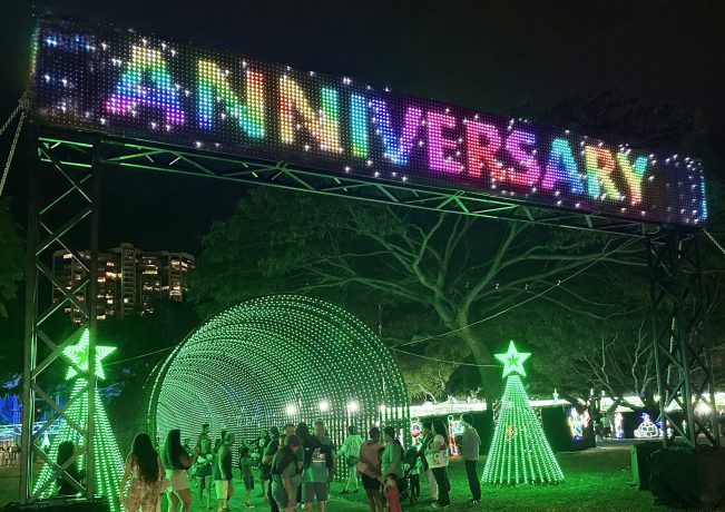 ハワイのクリスマスイルミネーション 🎅